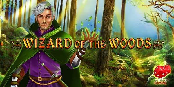 Wizard of the Woods Slots Mega Reel